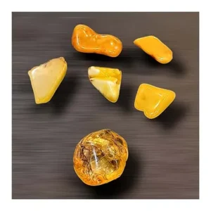 کهربا-لهستانی