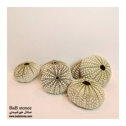 توتیا دریایی