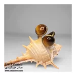 انگشتر-چشم-ببر