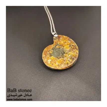 فسیل-امونیت