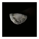 راف-عقیق-سلیمانی